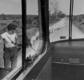 Ecole ménagère de Lhuis : voyage scolaire, transhumance des moutons à travers les Causses.