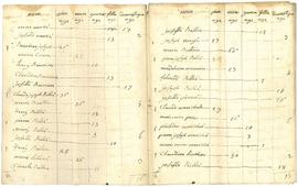 Tableau statistique de la mobilisation pour les Guerres napoléoniennes, vue 02.